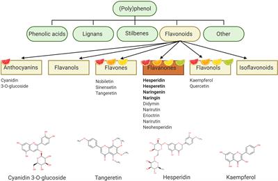 Citrus Polyphenols in Brain Health and Disease: Current Perspectives